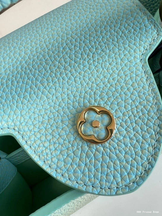 AAA Replica Ru BB CAPUCINES VUITTON LOUIS 0819